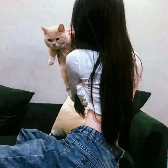 飞越谜情